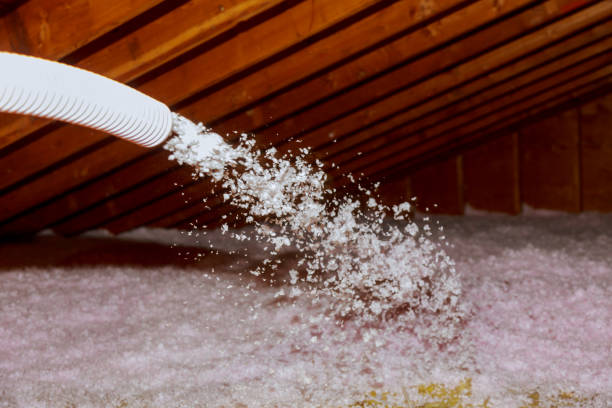 Best Insulation Installation Services in Williamston, MI