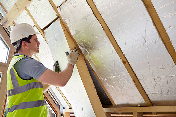 Best Residential Insulation in Williamston, MI