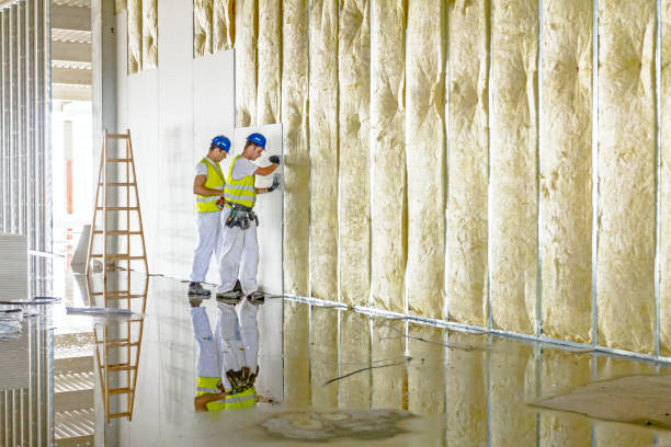 Best Insulation Maintenance and Repair in Williamston, MI
